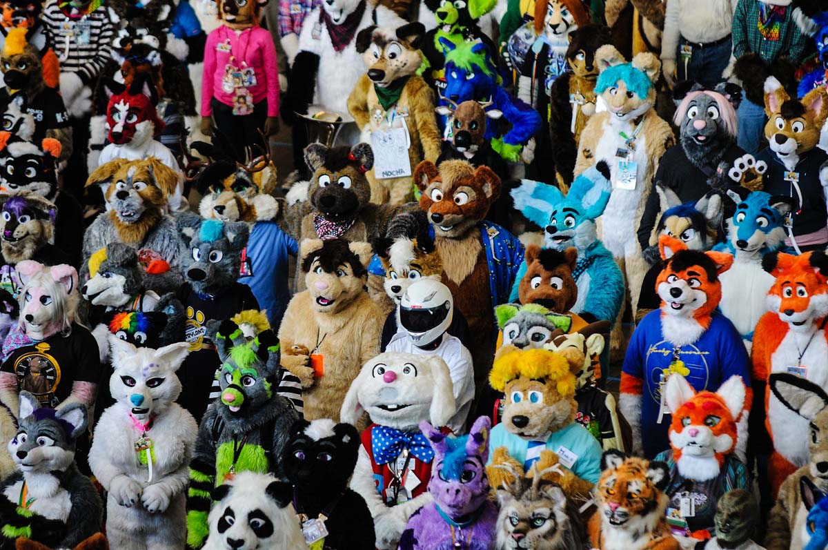 Furry Convention Florida 2024 Maddi Christean