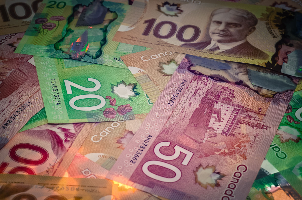 Canadian Women On Bank Notes_Plaid Zebra