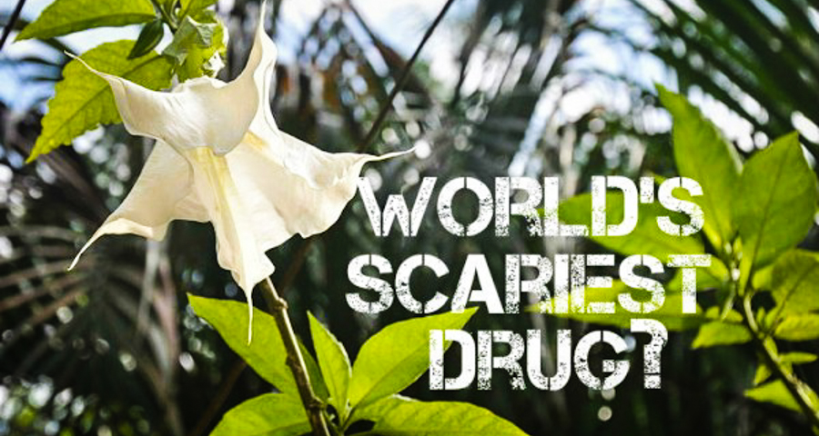 1_world’s dangerous drug