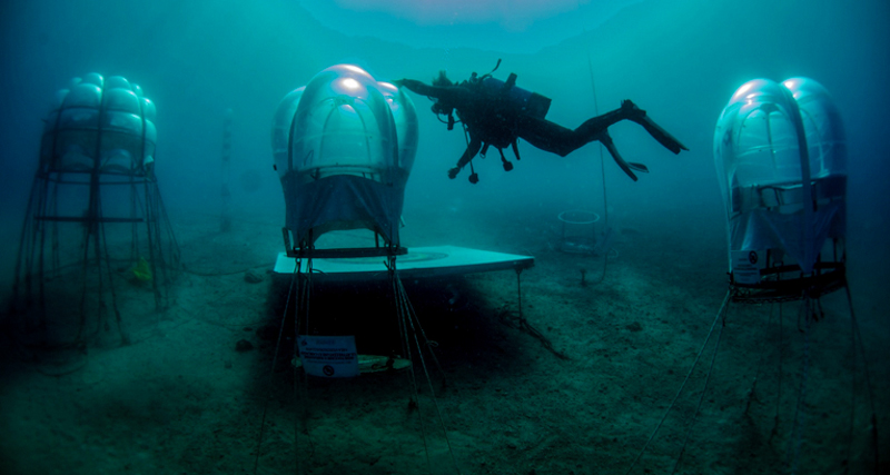 1_underwater greenhouse