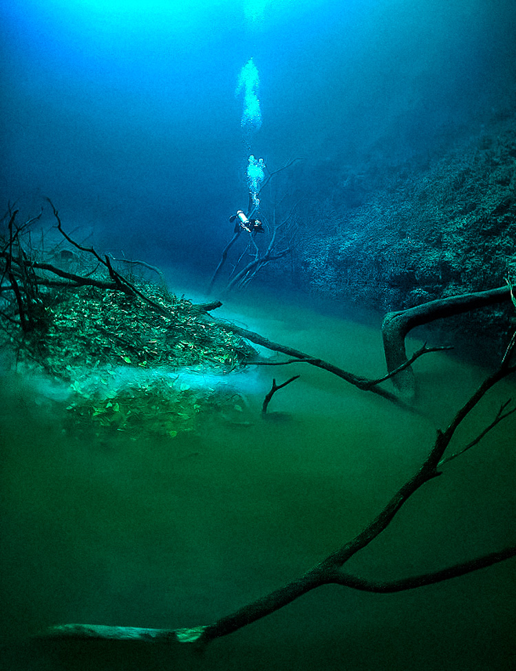 This diving enthusiast discovered an amazing underwater river (Photos)