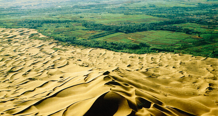 Explainer: What Is the 'Great Green Wall' of China?