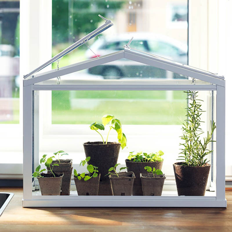 IKEA’s minigreenhouse lets you grow your favourite plants