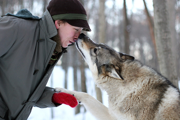 7_cuddle with wolves