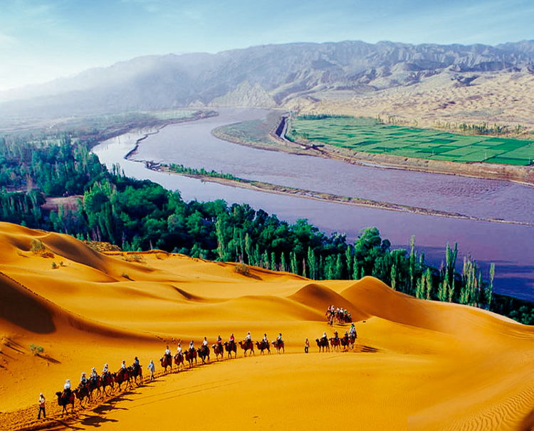 Explainer: What Is the 'Great Green Wall' of China?