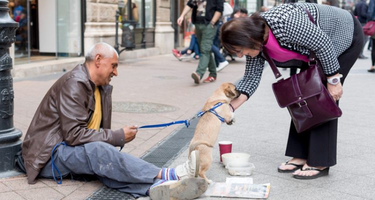 Watch how these artists spread kindness in 12 simple ways