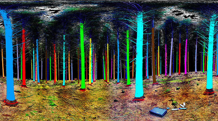 0_3D forestry