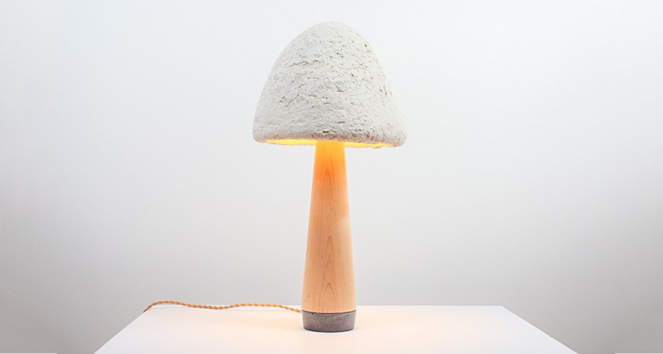 1_edible and sustainably grown lampshades