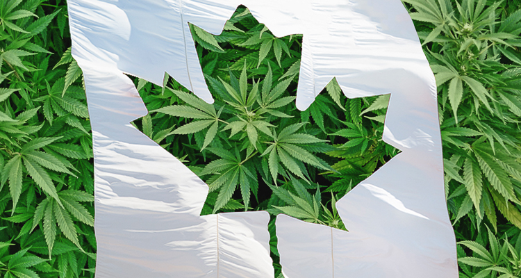 1_Canada’s Cannabis Future
