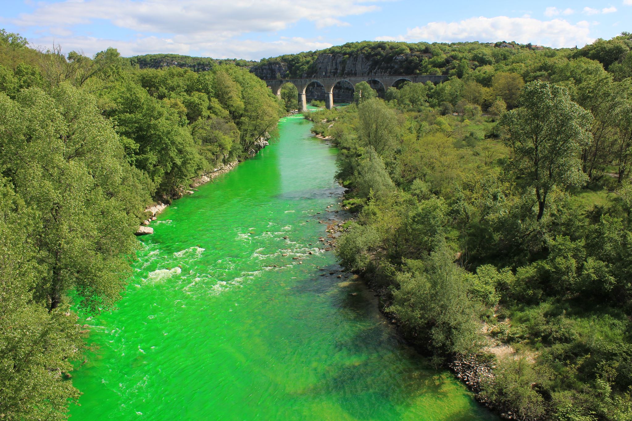 1_Environmentalists are dying France’s rivers green