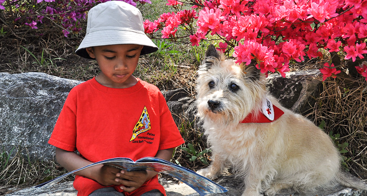 1_service brings dogs to classrooms