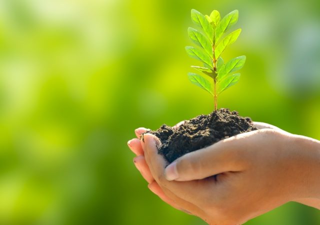 Earth Day
