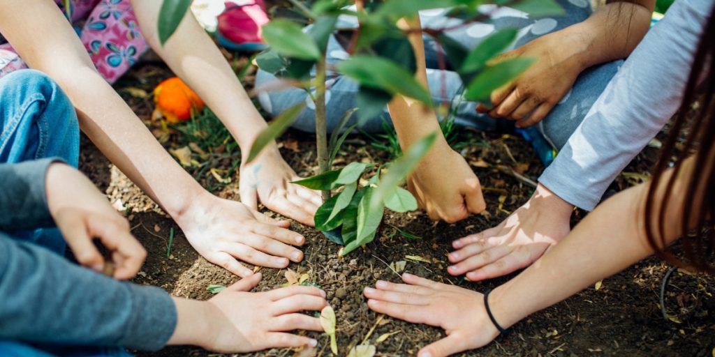 Kids hands planting a tree