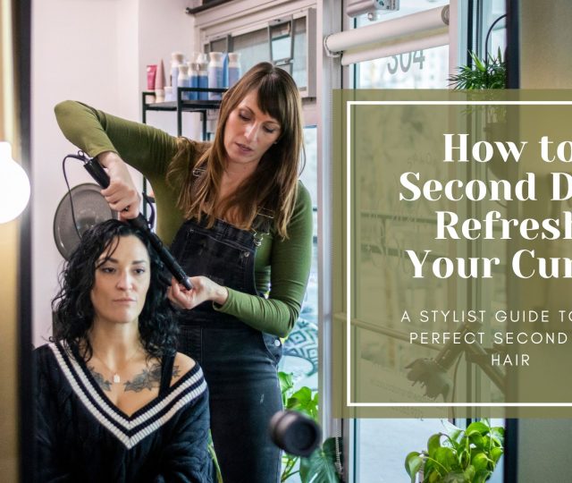 Salon Guide (1) - Jackie Wilt