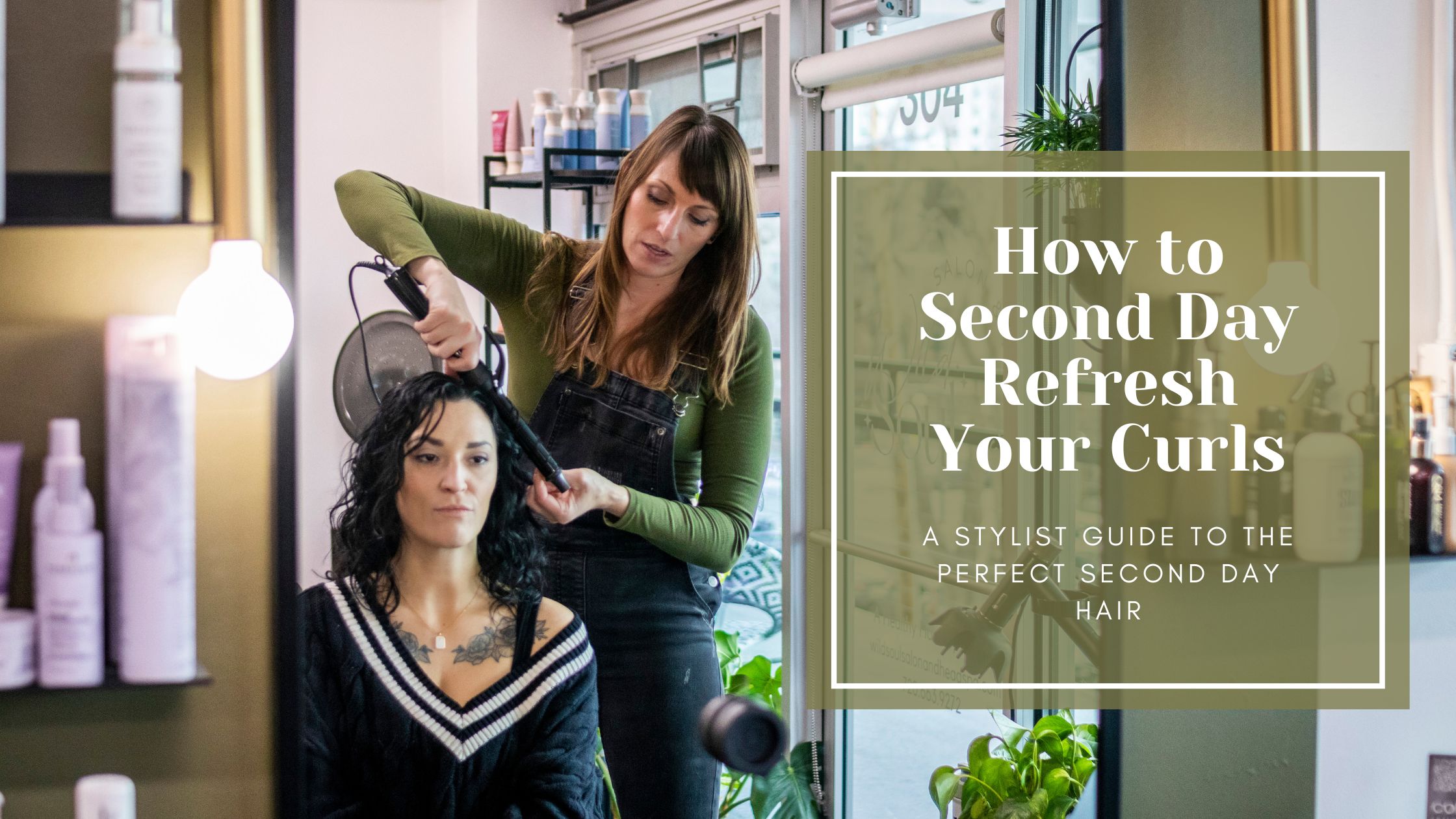 Salon Guide (1) - Jackie Wilt