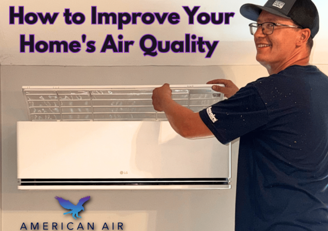 How to Improve Your Home's Air Quality-2 - Gabrielle Immediato
