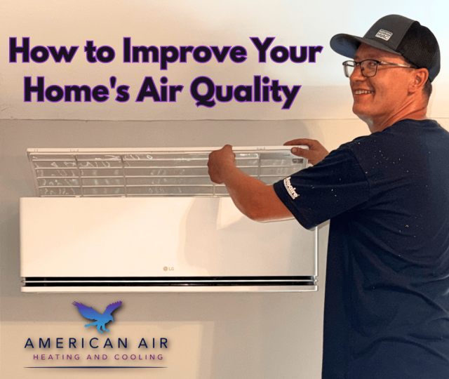 How to Improve Your Home's Air Quality-2 - Gabrielle Immediato