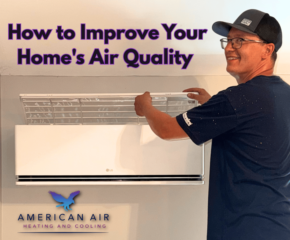 How to Improve Your Home's Air Quality-2 - Gabrielle Immediato