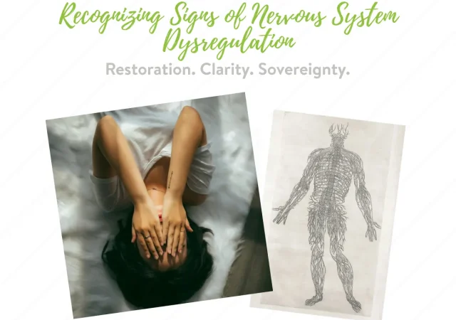 Recognizing Signs of Nervous System Dysregulation Blog Image - Kimberly Gaskins