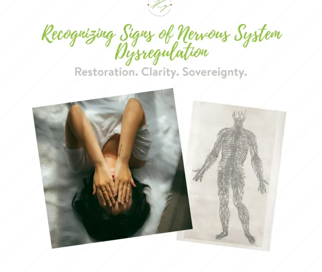 Recognizing Signs of Nervous System Dysregulation Blog Image - Kimberly Gaskins