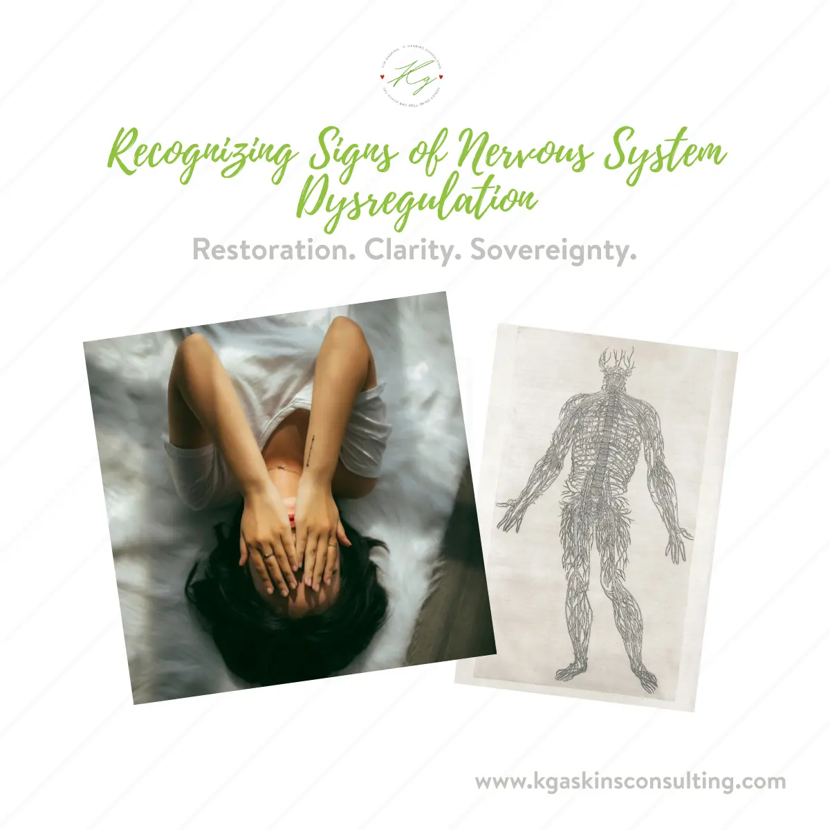 Recognizing Signs of Nervous System Dysregulation Blog Image - Kimberly Gaskins
